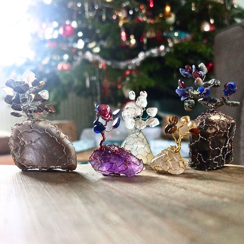 Podívej, jak rostou