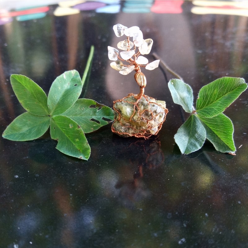 Podívej, jak rostou