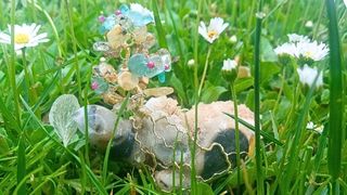 Želva Naděje – tantrický talisman