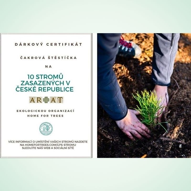 Certifikát Čakrových Štěstíček – stromová dvojčata vysazená v českých lesích