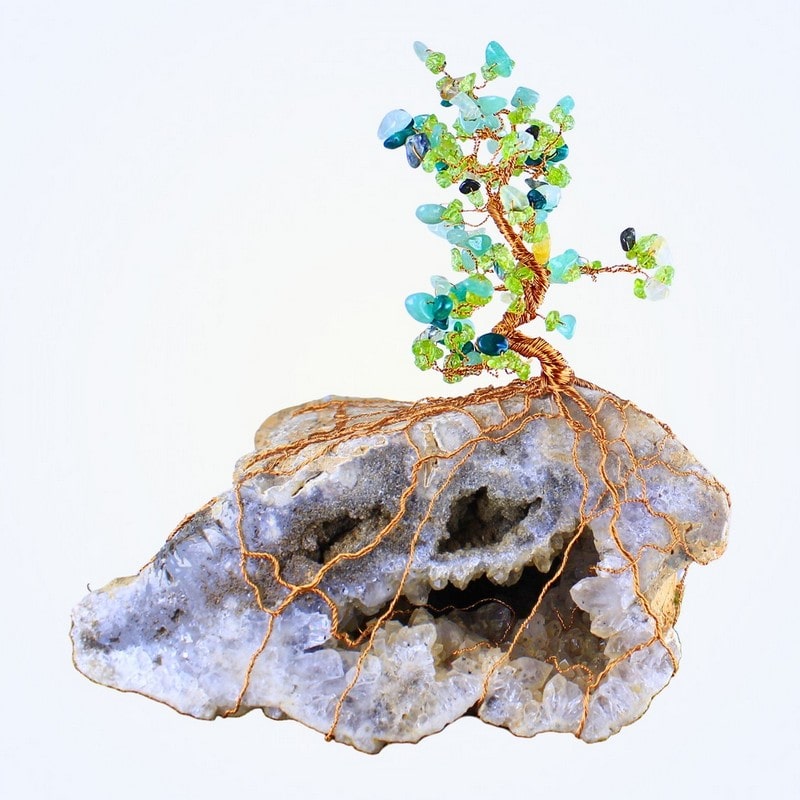 Vychechtaný Troll – Tvůj průvodce Magickým lesem