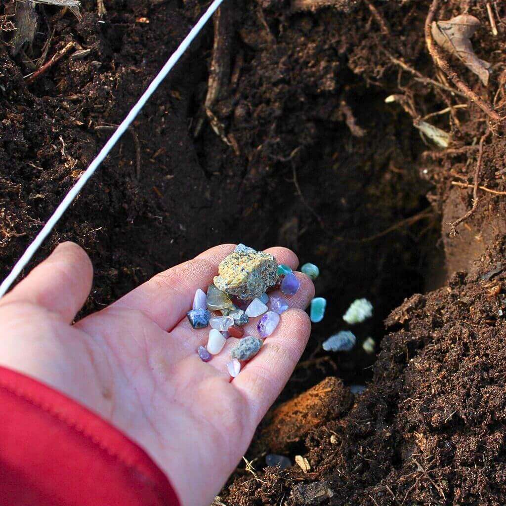 Požehnání novému stromku