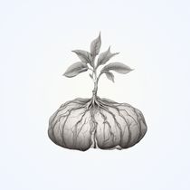 miniaturní Stromečky