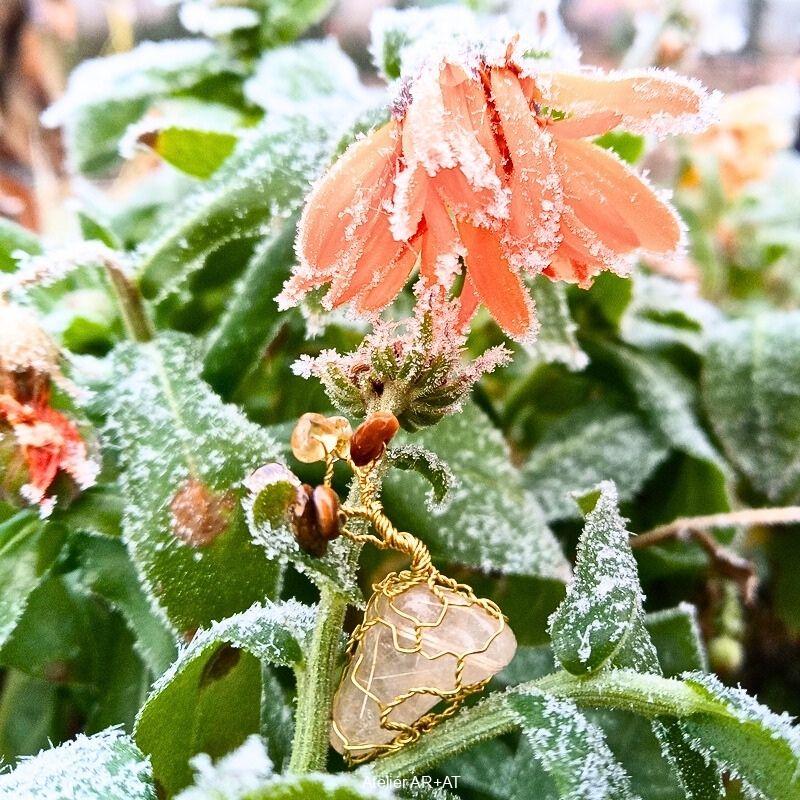 Tygří Zlato - Stromeček Štěstí a hojnosti