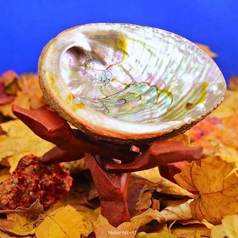 Mušle abalone na stojánku – vykuřovací miska