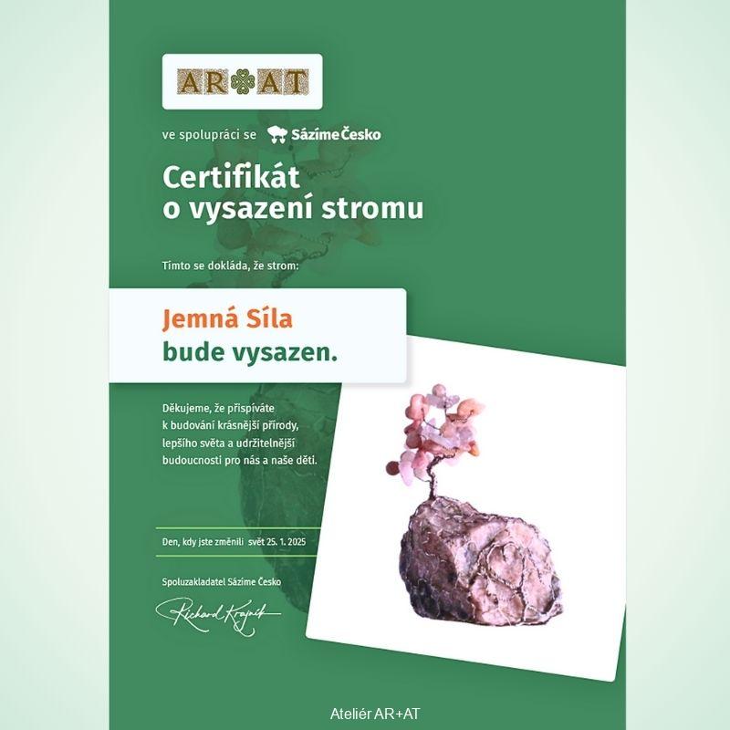 Jemná Síla - podporující Strom Života