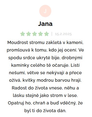 Báseň stromu Blankytná Bříza od nové majitelky