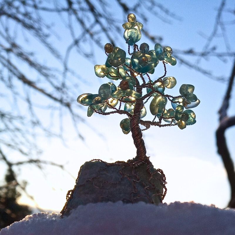 Ručně drátovaný Strom Života Blankytná Bříza na zasněžené větvi v zahradě