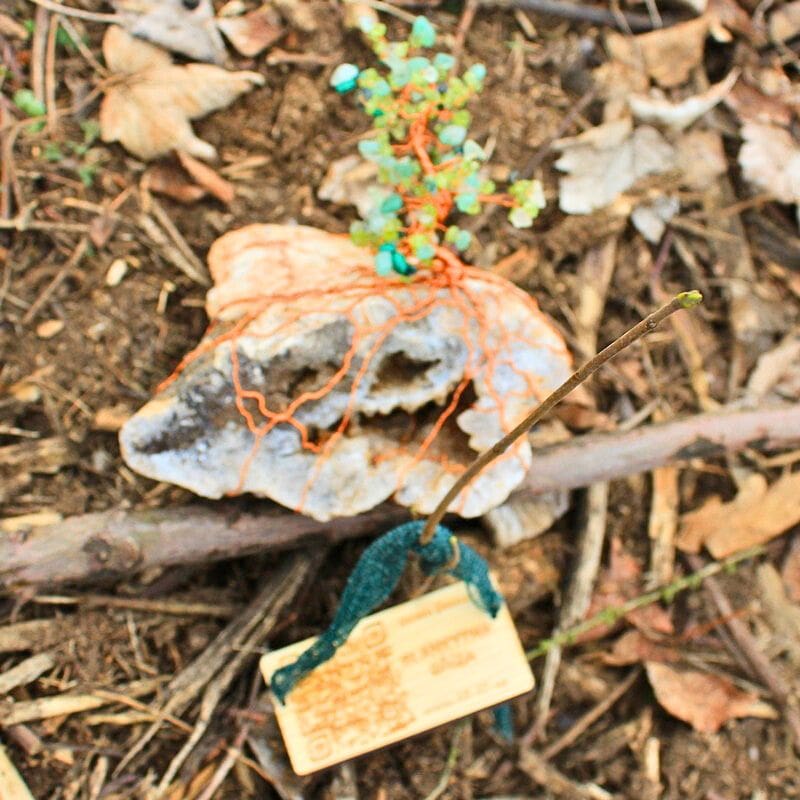 Vysazené Stromové dvojče Blankytné Břízy