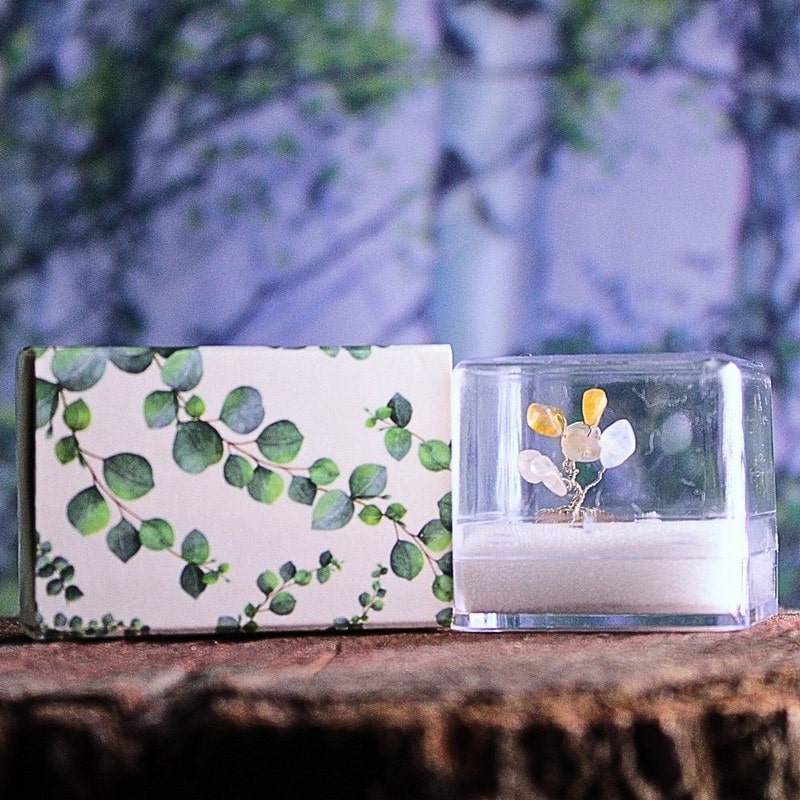 Miniaturní Stromeček Štěstí Čistá Mysl sbalený na cesty