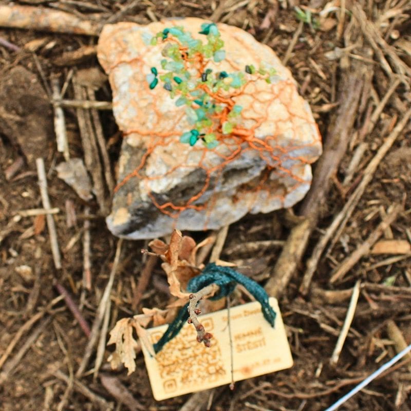 Vysazené Stromové dvojče Jemného Štěstí – mladý strom v půdě