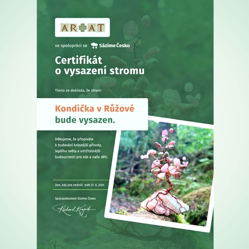 Certifikát Stromového dvojčete talismanu Kondička v Růžové