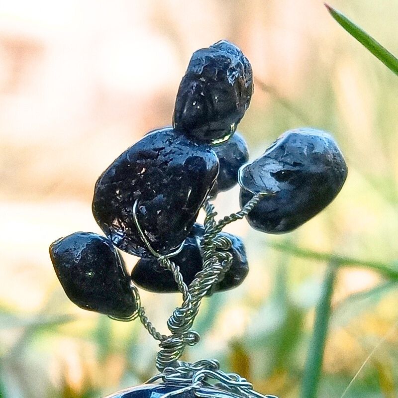 Koruna Stromečku Štěstí jménem Noční Vánek