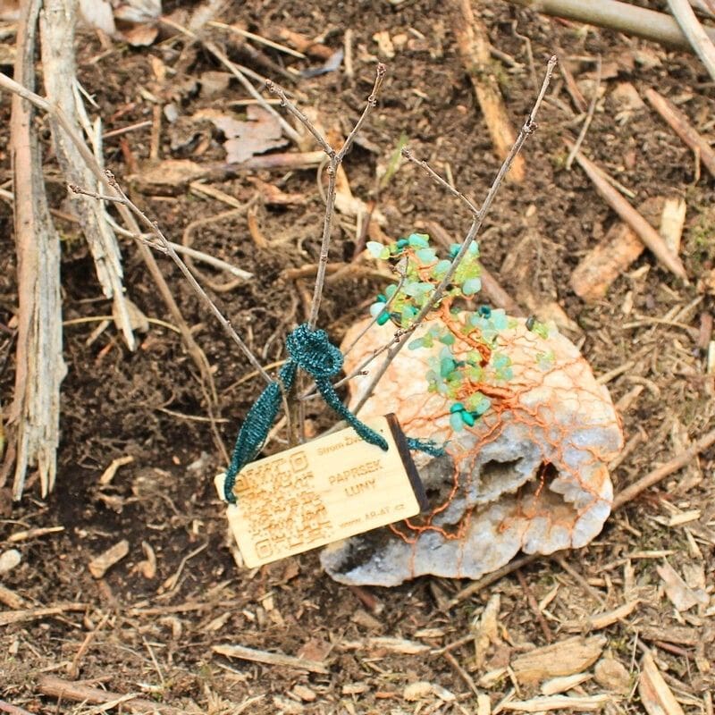 Vysazení sazenice živého stromu jménem Paprsek Luny