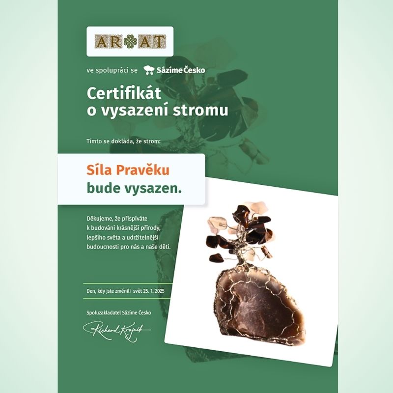 Certifikát Stromového dvojčete talismanu Síly Pravěku