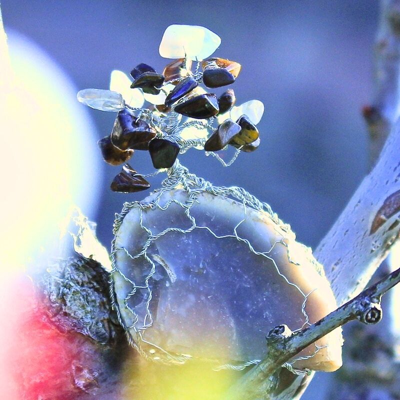 Malý Semenáček Stromu Života Síla Pravěku na kvetoucím stromě