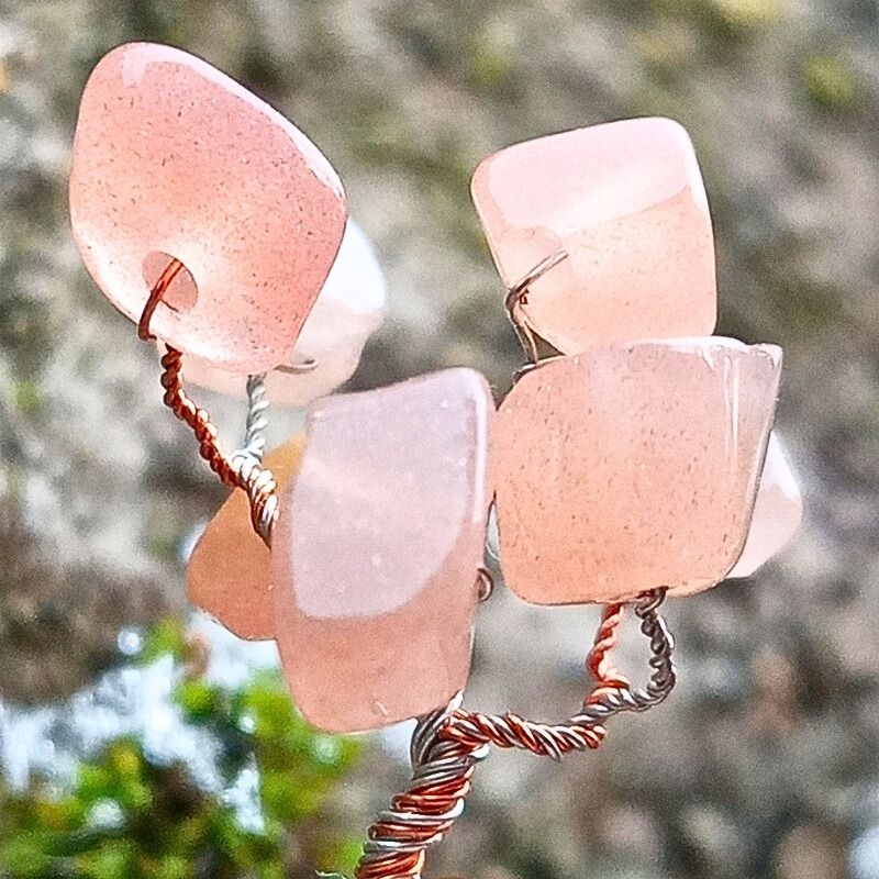 Koruna Stromečku Štěstí jménem Slunečný Paprsek