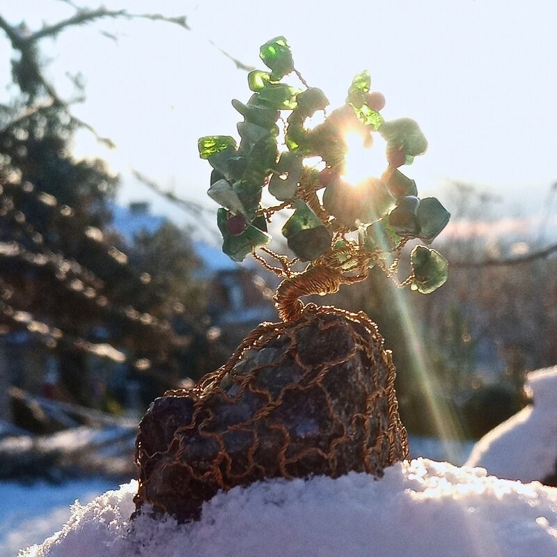 Zářivý paprsek slunce při meditaci Stromu Života jménem Smaragdová Jabloň na zasněžené větvi