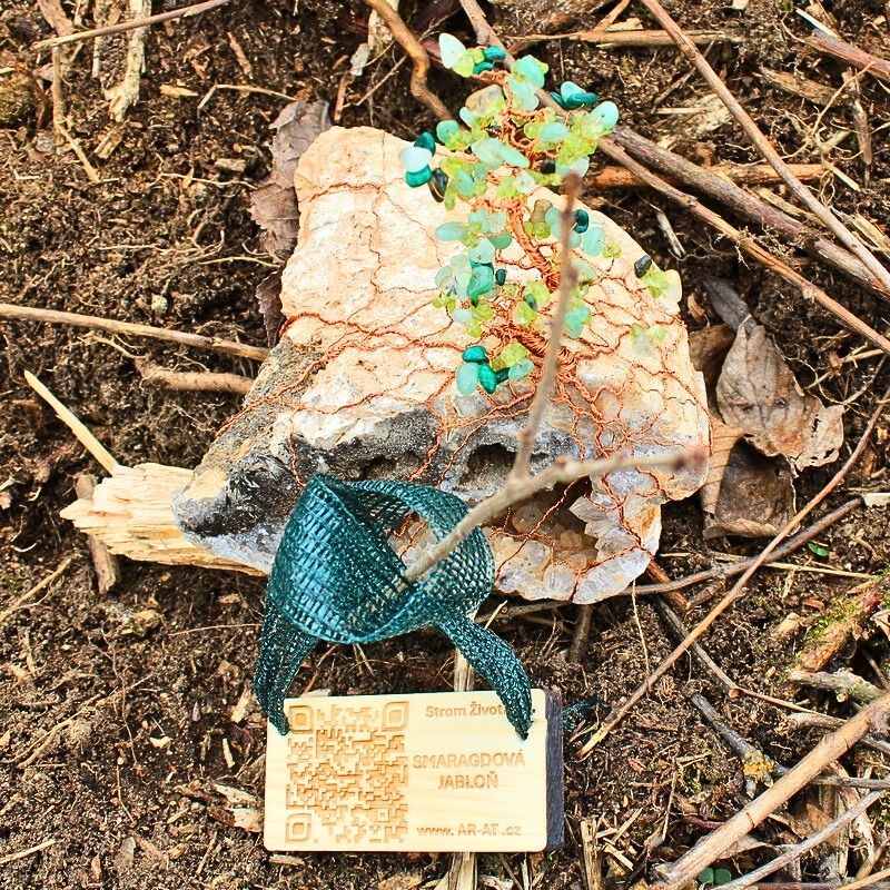 Vysazení sazenice živého stromu jménem Smaragdová Jabloň