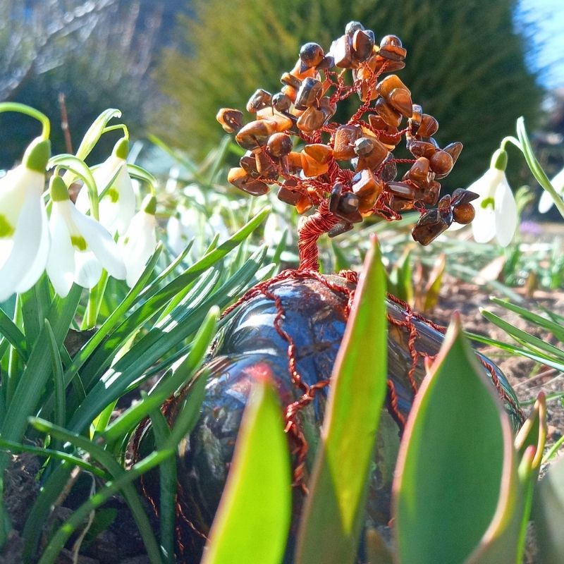 Srdce Tygra v kvetoucím záhonu