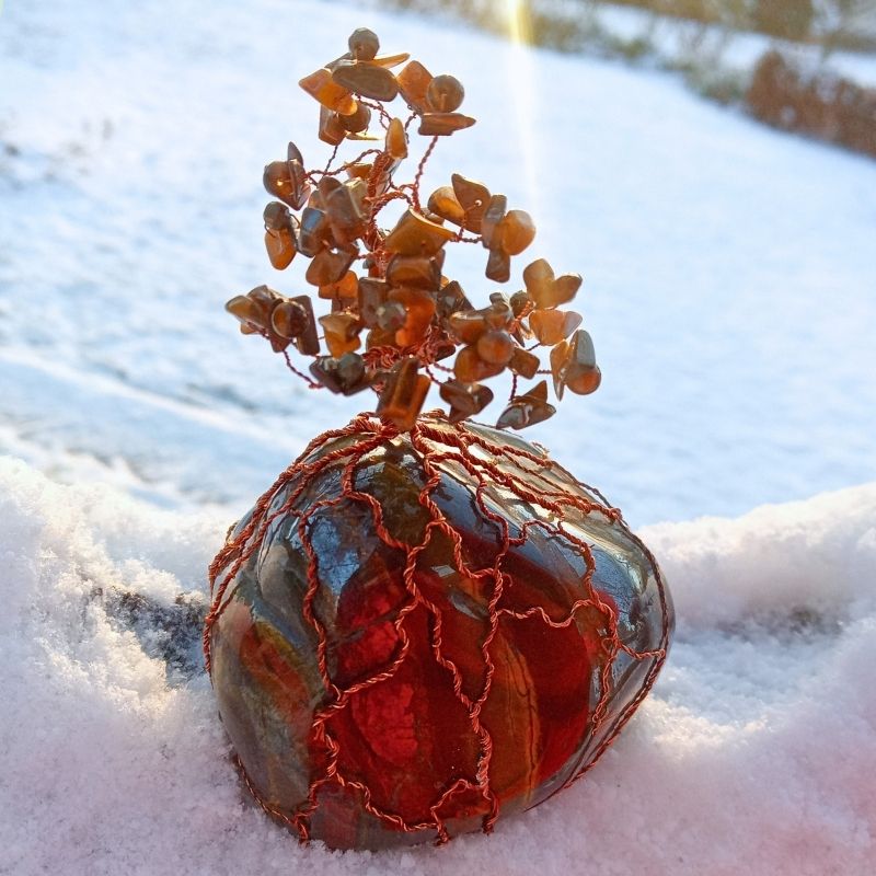 Srdce Tygra v zasněžené zahradě