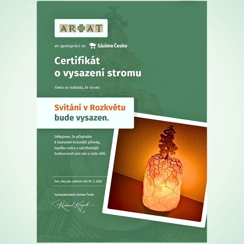 Certifikát sazenice živého Stromového dvojčete pro Svítání v Rozkvětu