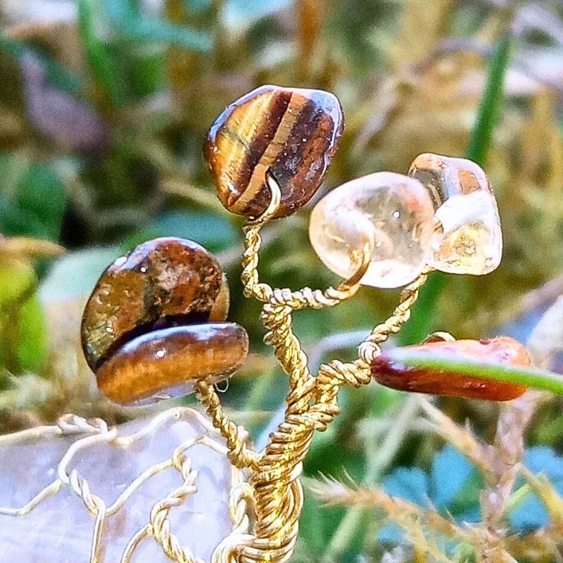 Koruna Stromečku Štěstí jménem Tygří Zlato