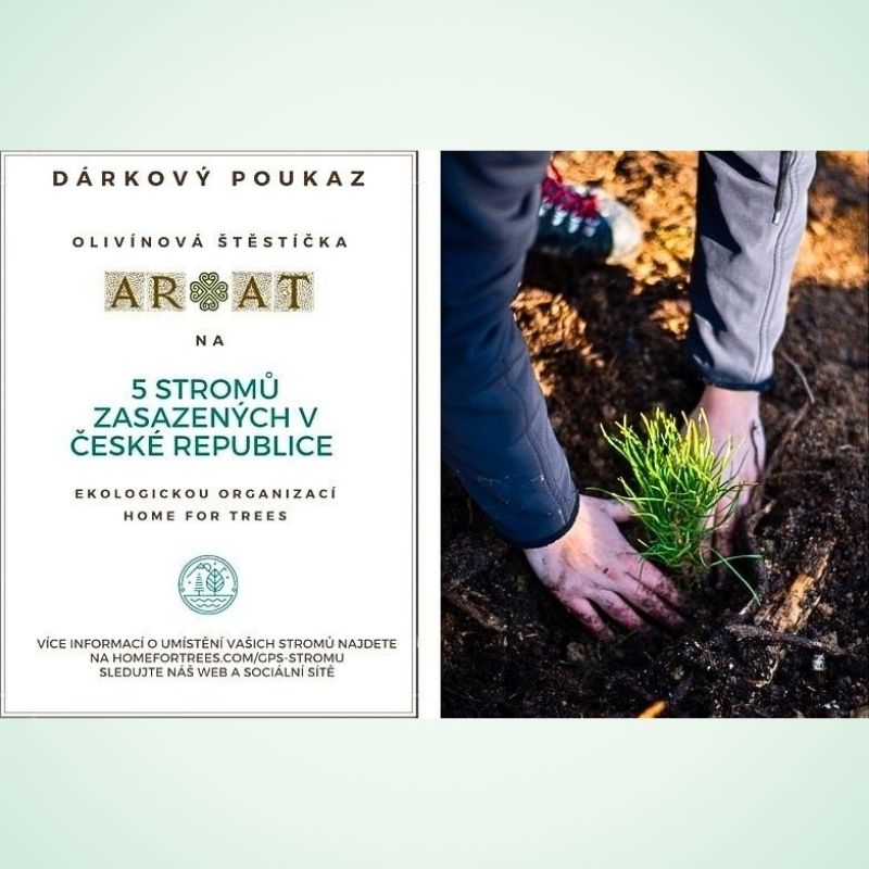 Certificate for the Olivine Luckies – their Tree Twins planted in Czech forests