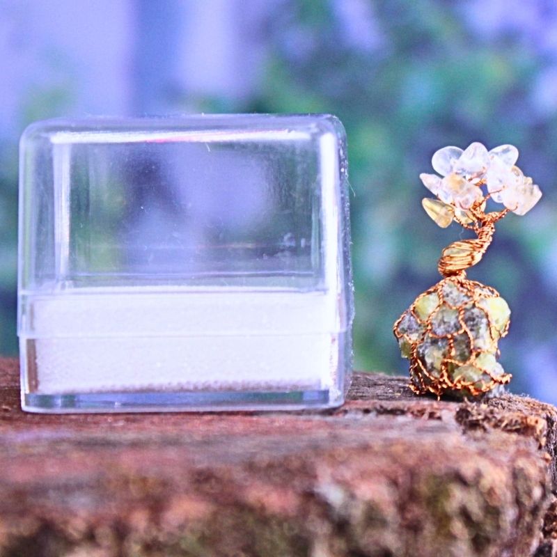 Stromeček Štěstí jménem Úsvit Olivínu připraven na cesty