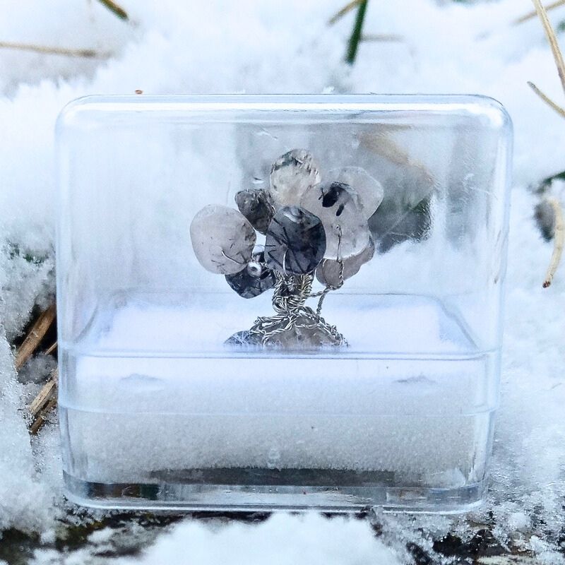 Miniaturní Stromeček Štěstí Vnitřní Harmonie sbalený na cesty