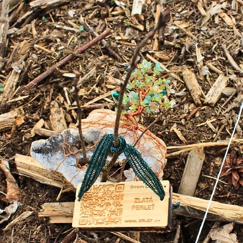 Výsadba stromového dvojčete