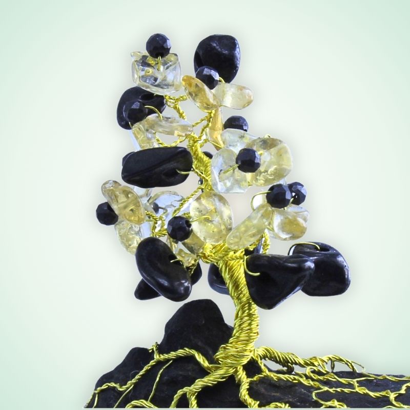 Koruna Zlatého Šungitu s minerály